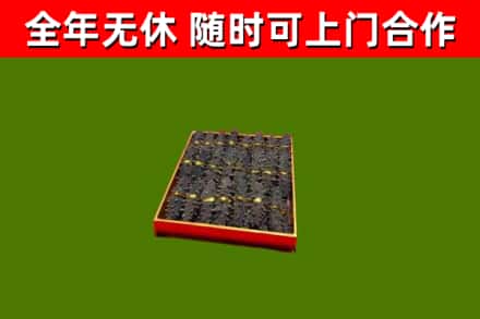 官渡回收海参